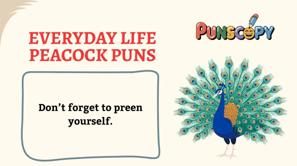 Everyday Life Peacock Puns