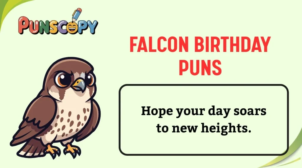 Falcon Birthday Puns