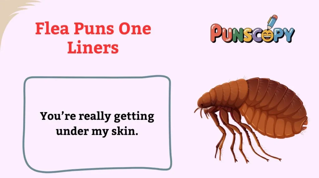 Flea Puns One Liners