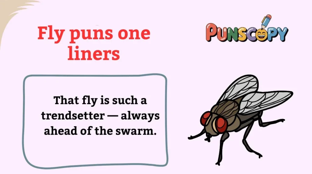 Fly puns one liners