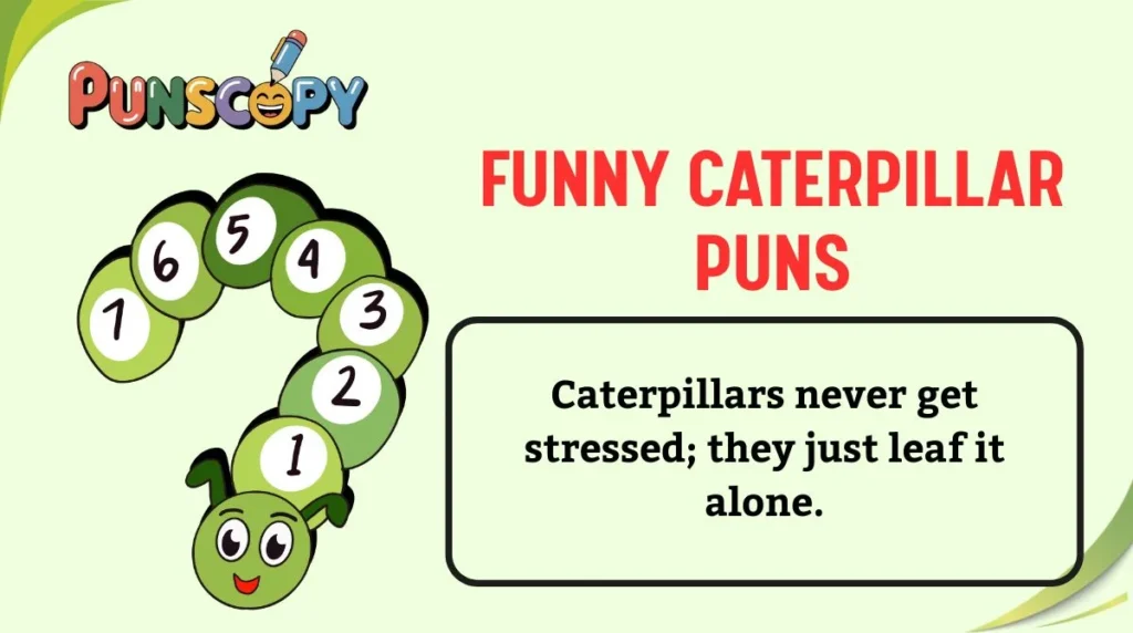 Funny Caterpillar Puns