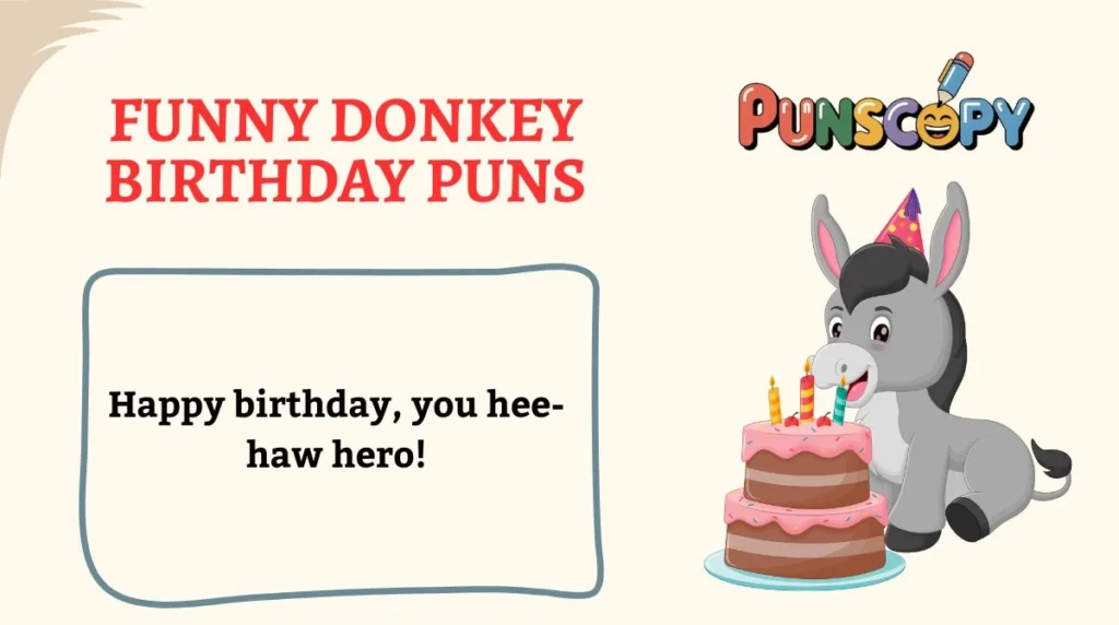 Funny Donkey Birthday Puns