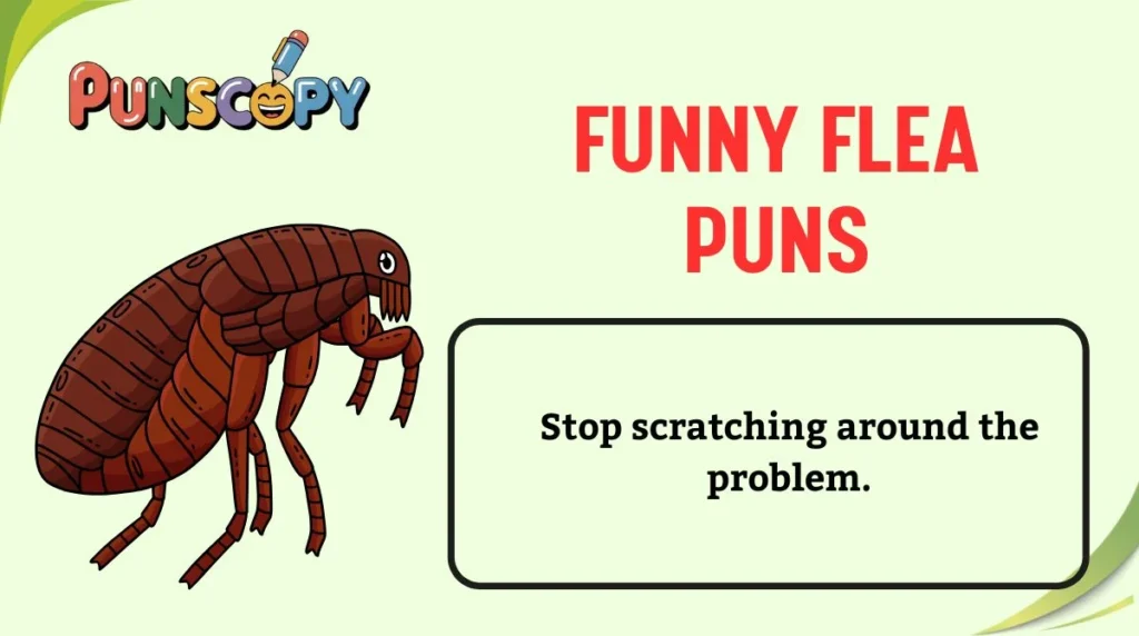 Funny Flea Puns