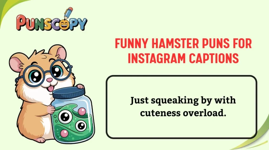 Funny Hamster Puns for Instagram Captions