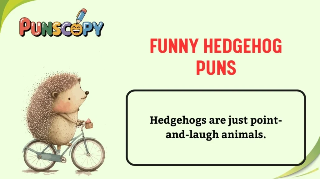 Funny Hedgehog Puns