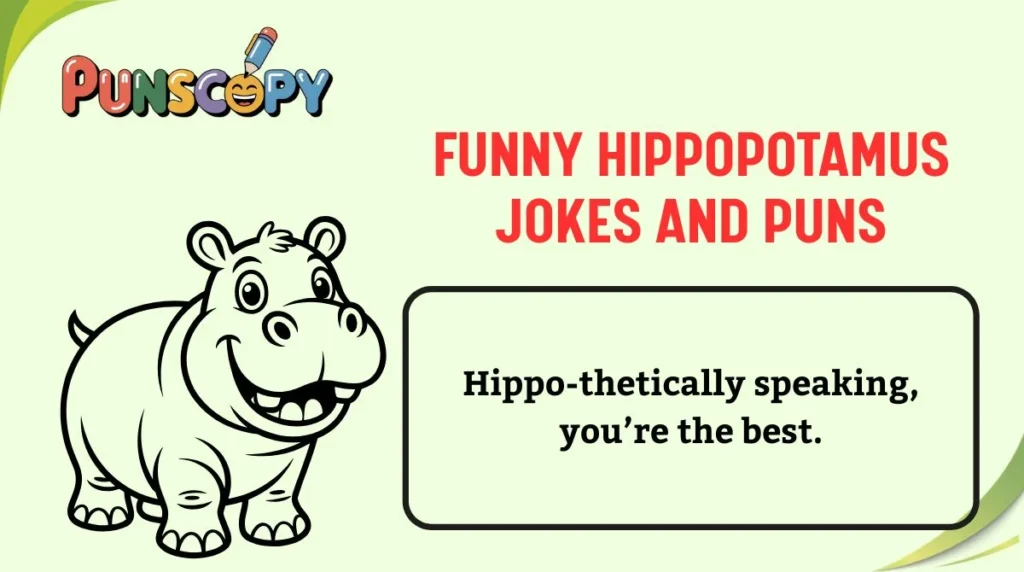 Funny Hippopotamus Jokes and Puns