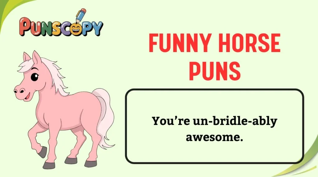 Funny Horse Puns