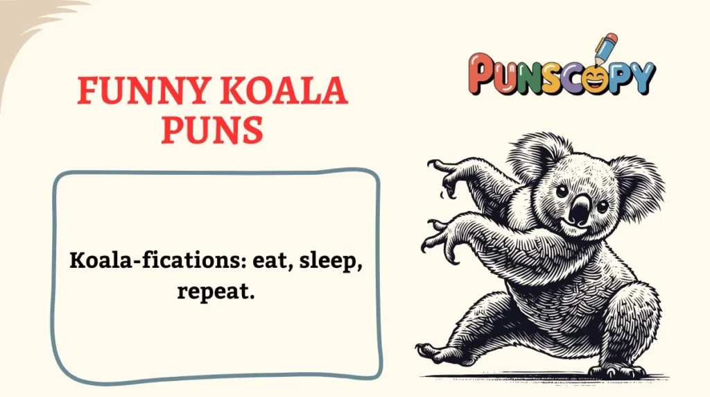 Funny Koala Puns