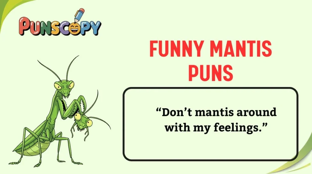Funny Mantis Puns