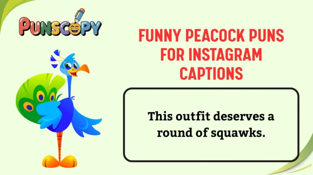 Funny Peacock Puns for Instagram Captions