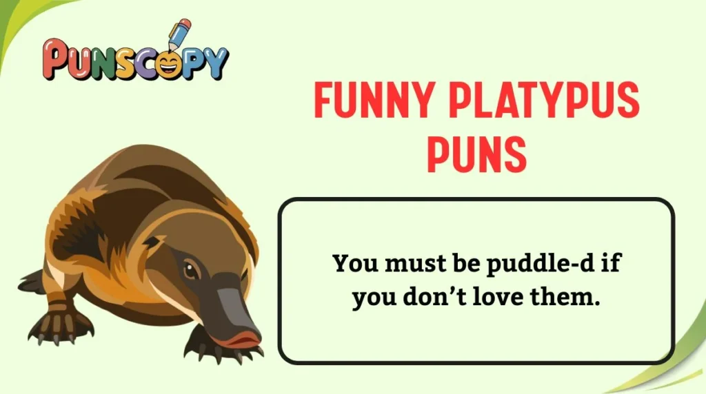 Funny Platypus Puns