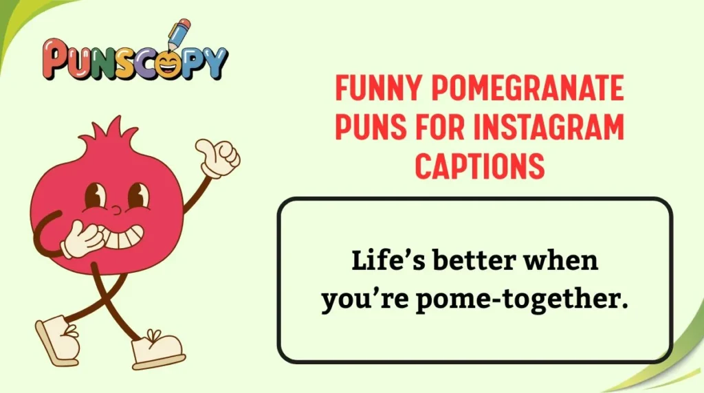 Funny Pomegranate Puns for Instagram Captions