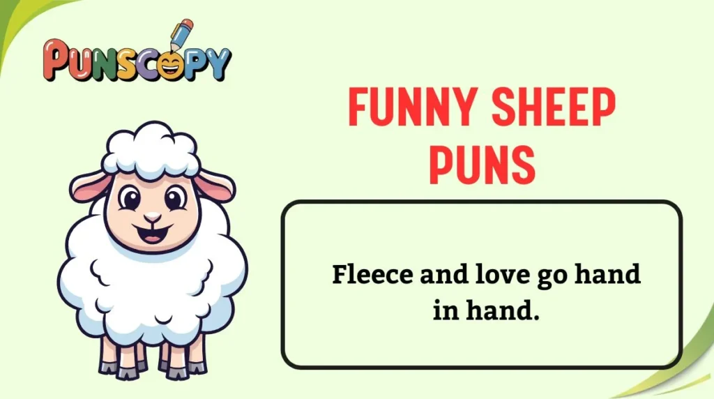 Funny Sheep Puns