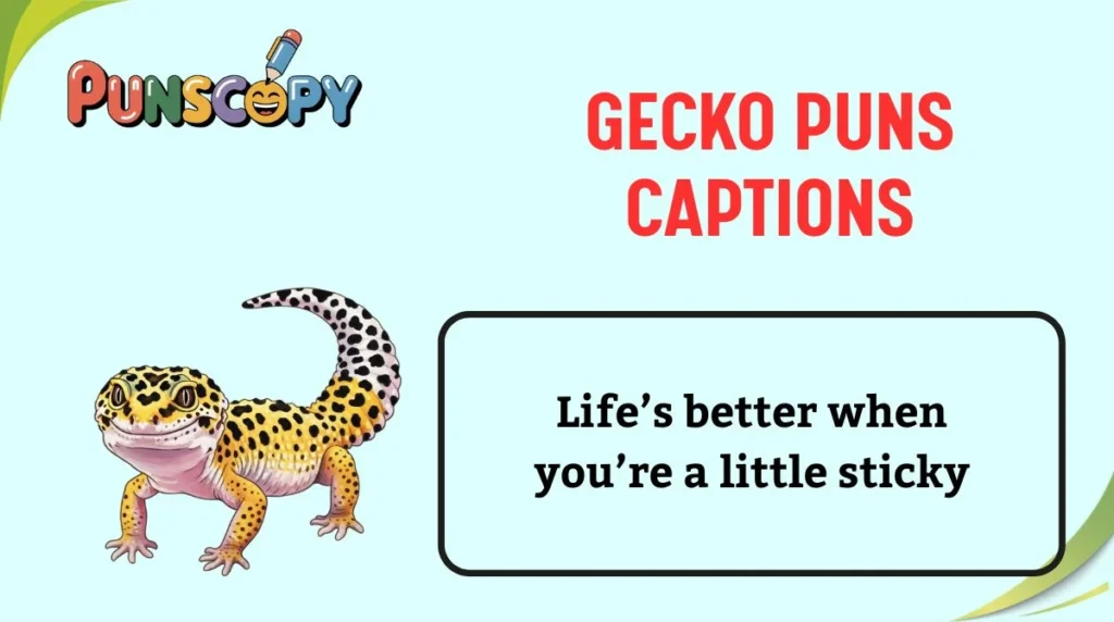 Gecko Puns Captions
