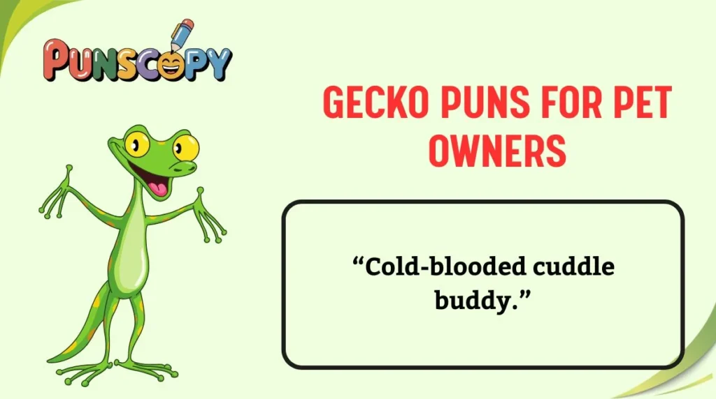 Gecko Puns for Pet Owners