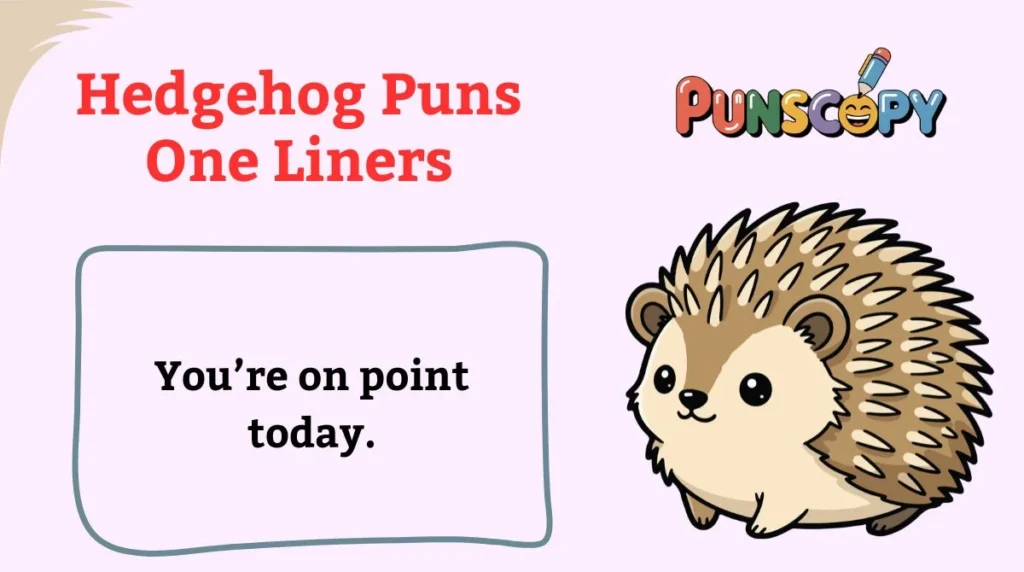 Hedgehog Puns One Liners