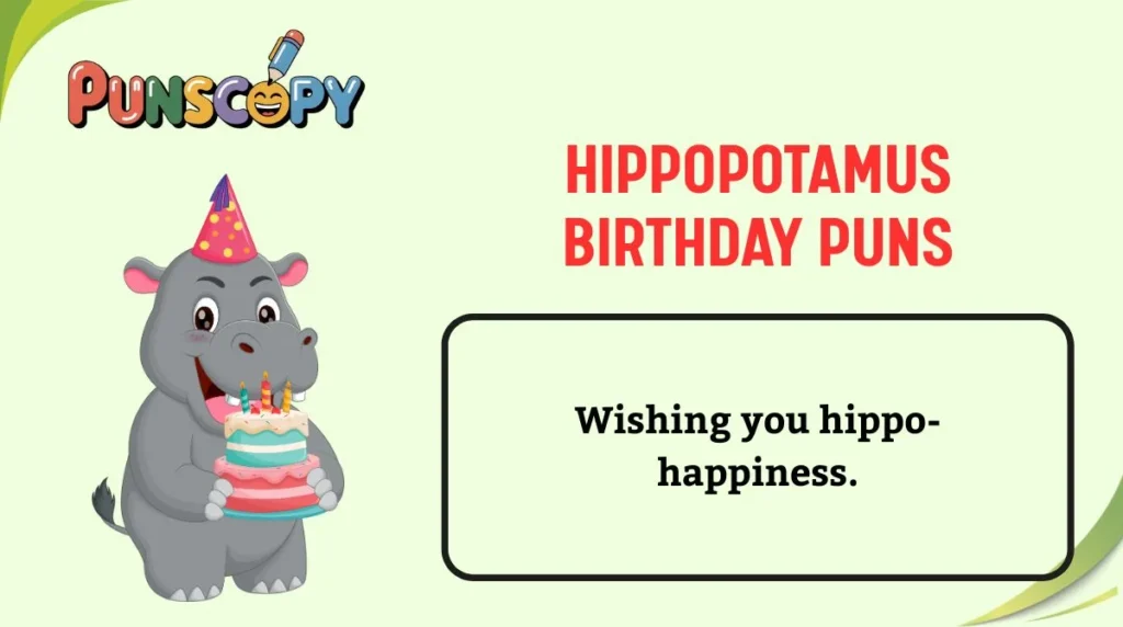 Hippopotamus Birthday Puns