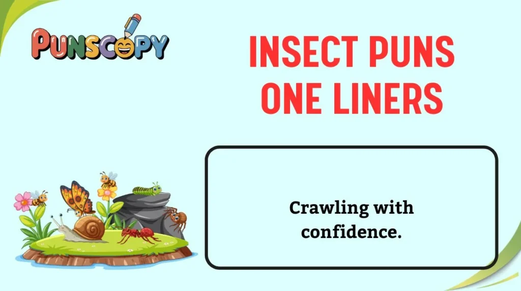 Insect Puns One Liners