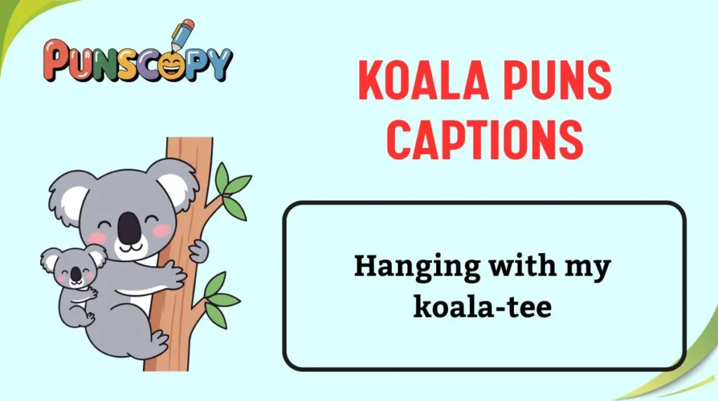 Koala Puns Captions