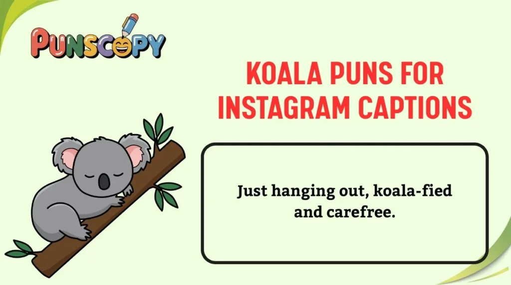 Koala Puns for Instagram Captions
