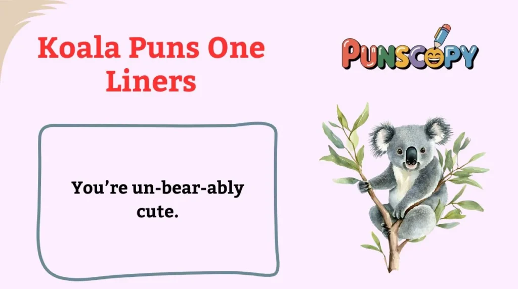 Koala Puns One Liners