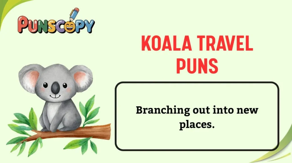 Koala Travel Puns