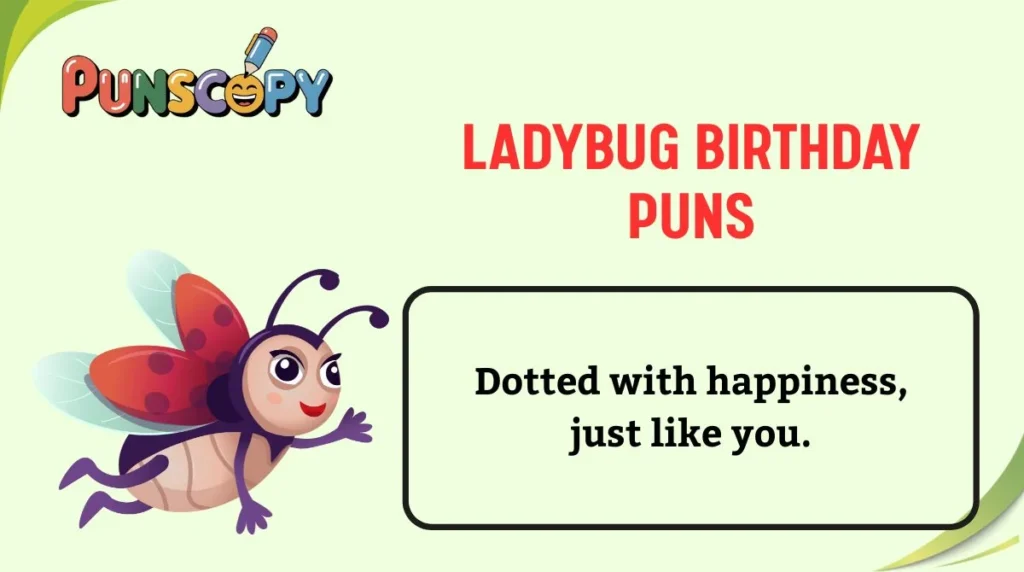 Ladybug Birthday Puns