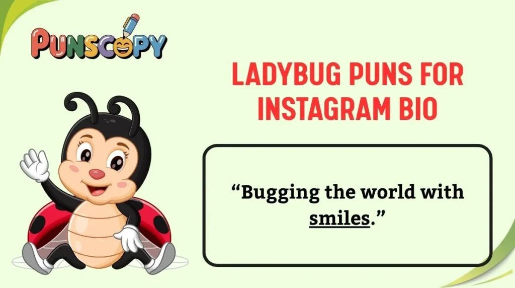 Ladybug Puns for Instagram Bio