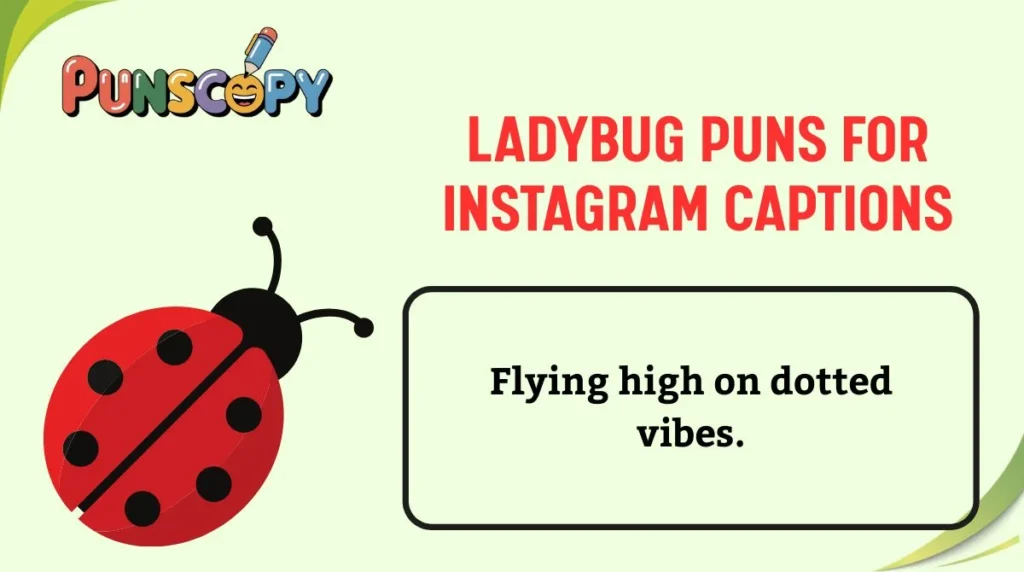Ladybug Puns for Instagram Captions