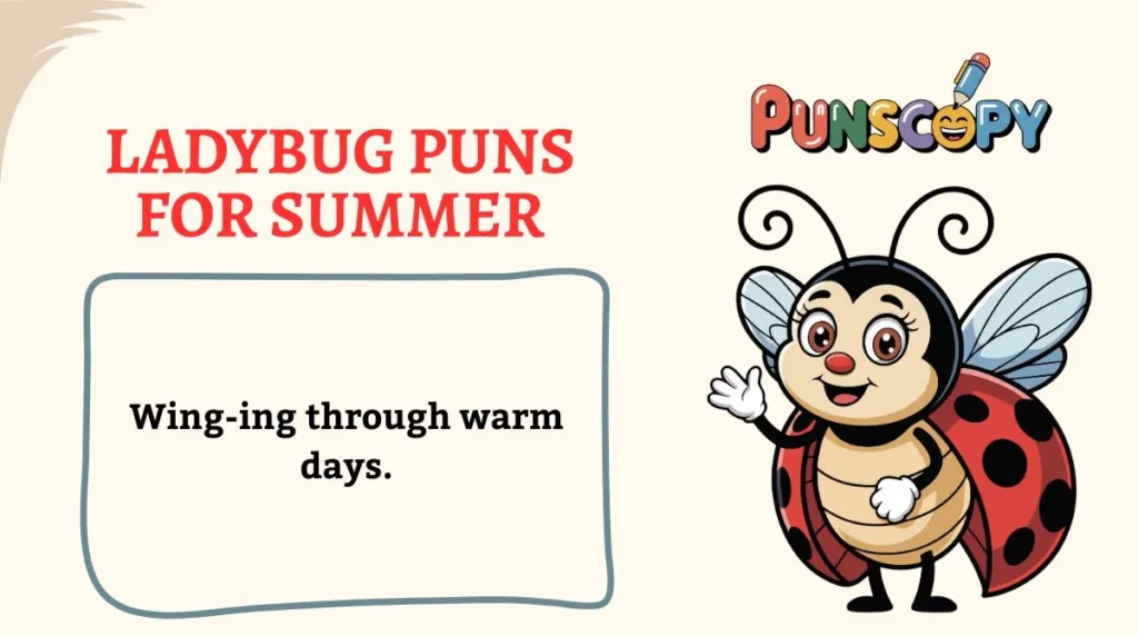 Ladybug Puns for Summer