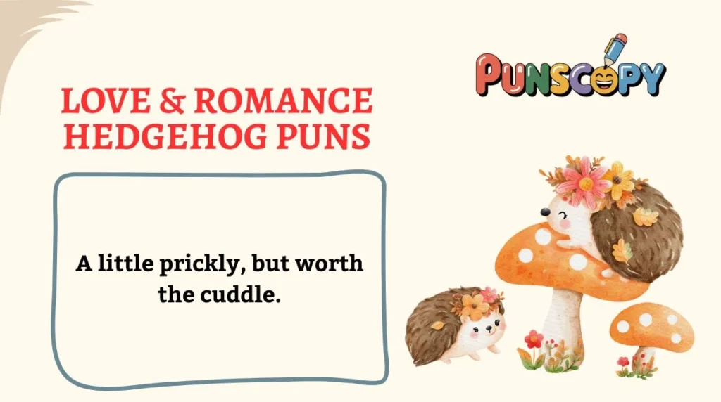 Love & Romance Hedgehog Puns