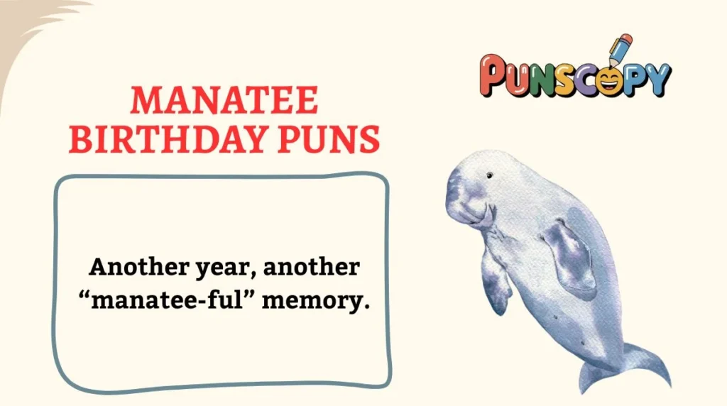 Manatee Birthday Puns