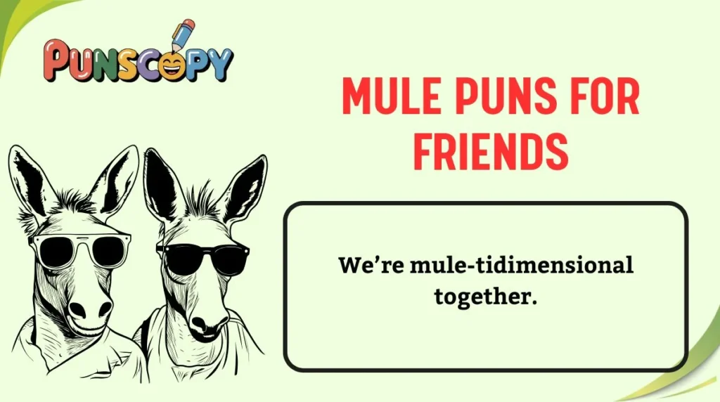 Mule Puns for Friends