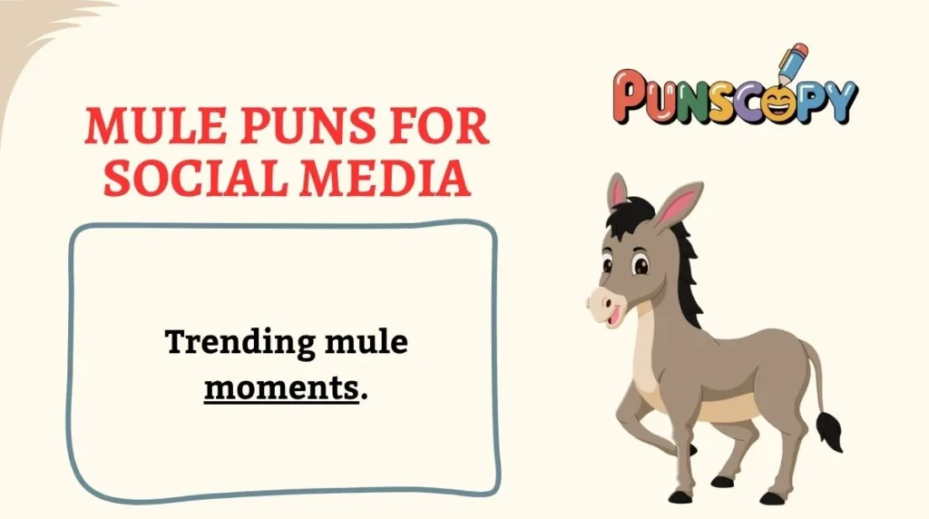 Mule Puns for Social Media