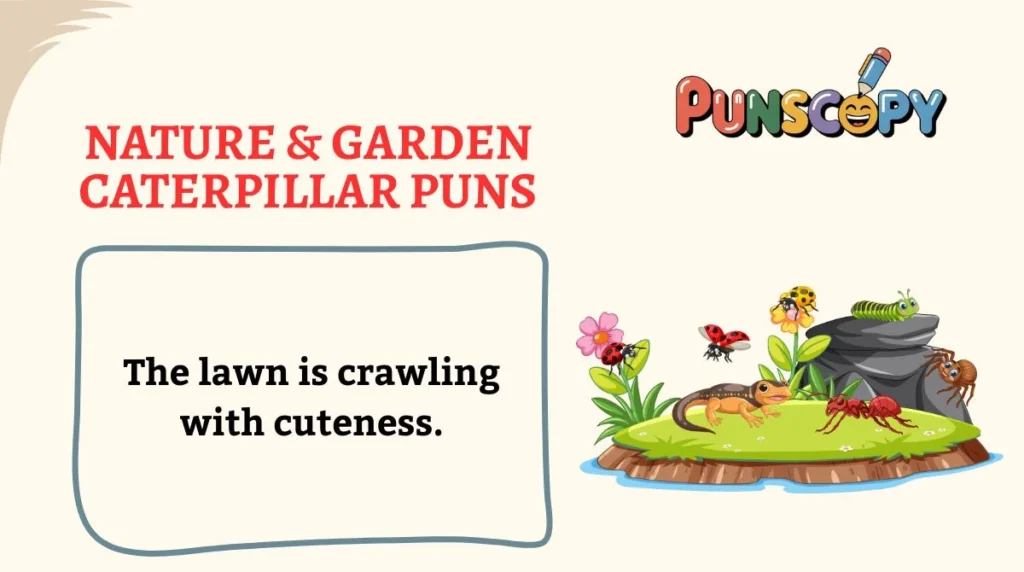 Nature & Garden Caterpillar Puns
