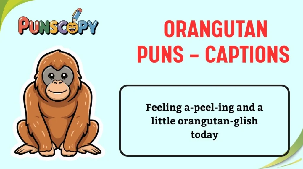 Orangutan Puns — Captions