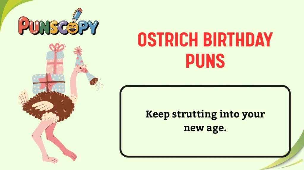 Ostrich Birthday Puns