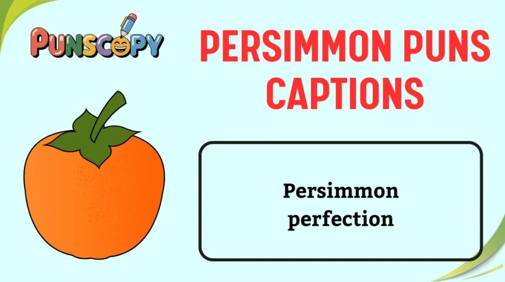 Persimmon Puns Captions