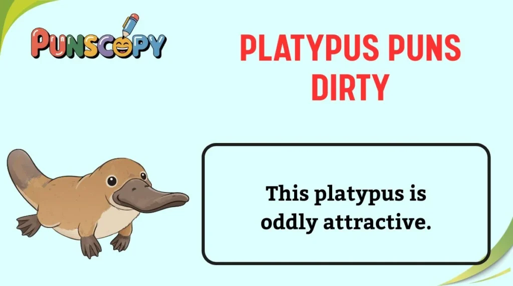 Platypus Puns Dirty