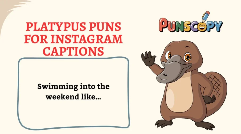Platypus Puns for Instagram Captions