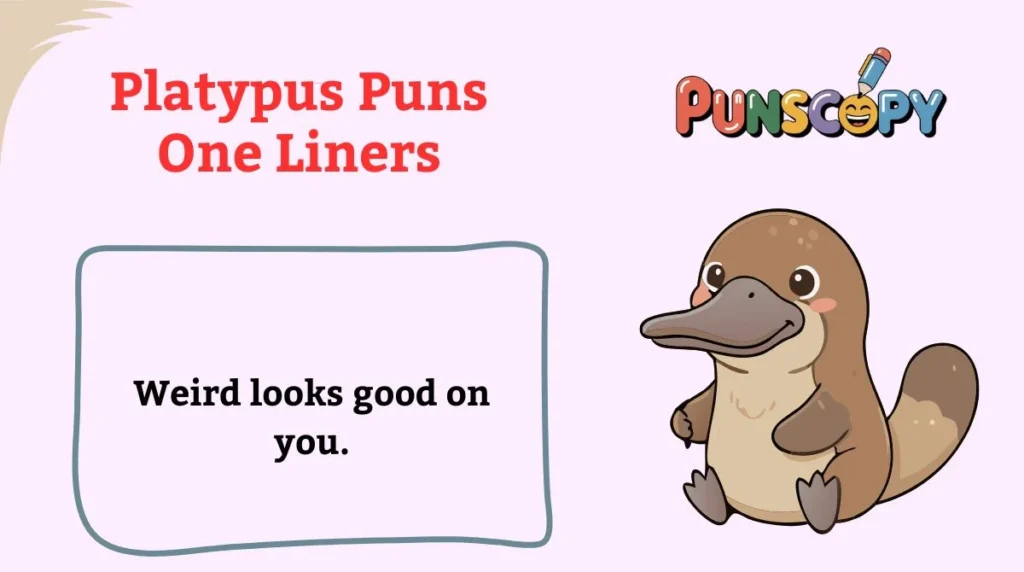 Platypus Puns One Liners