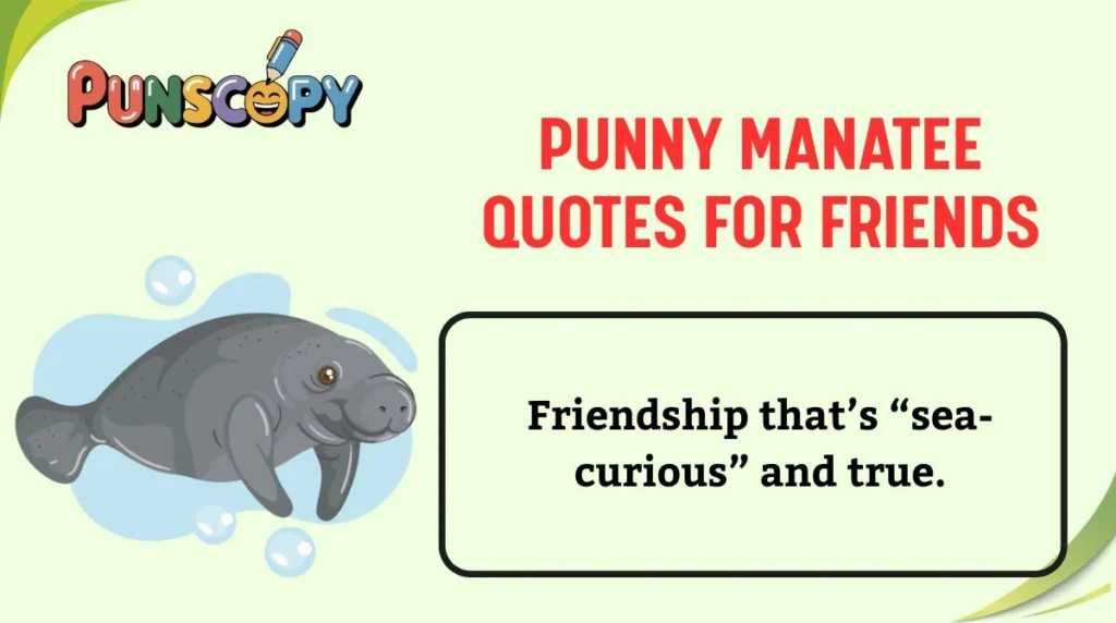 Punny Manatee Quotes for Friends