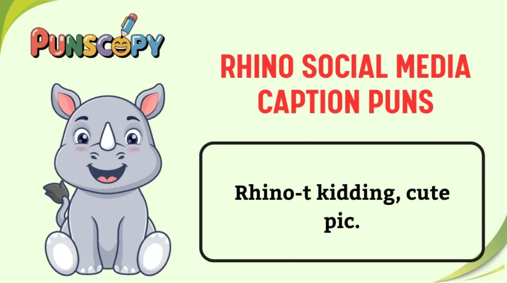 Rhino Social Media Caption Puns
