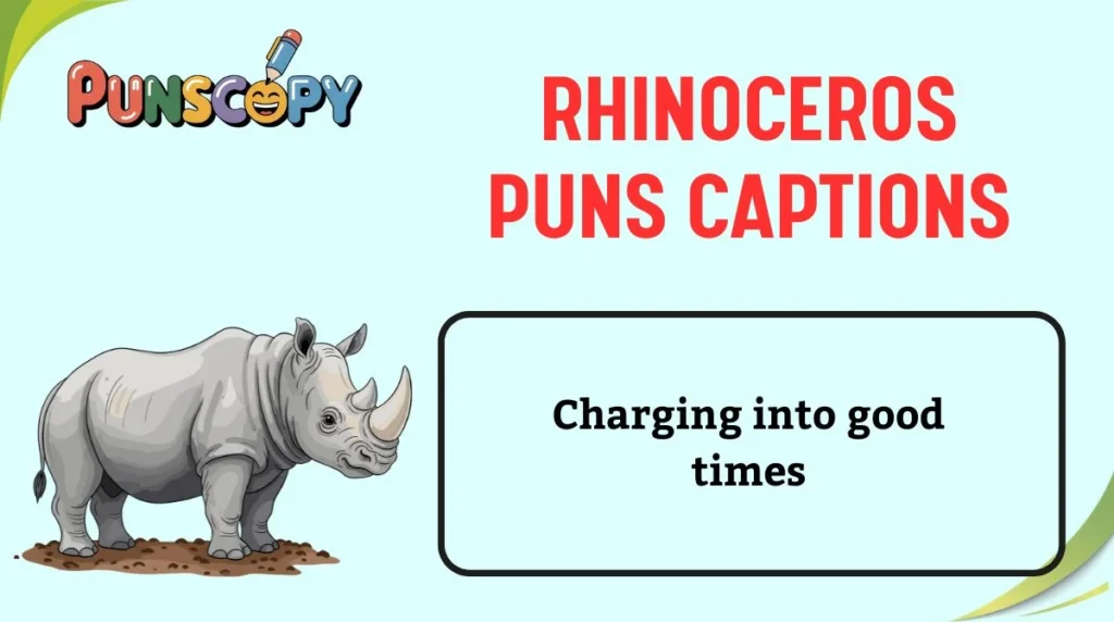 Rhinoceros Puns Captions