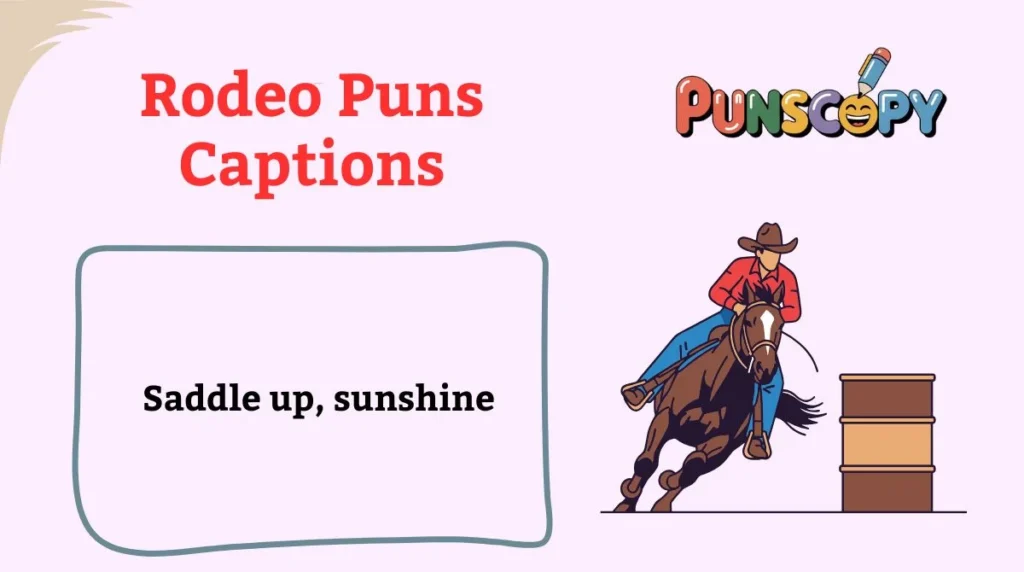 Rodeo Puns Captions