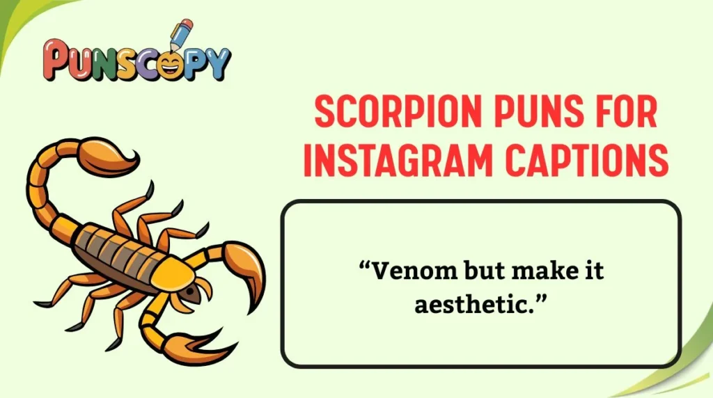 Scorpion Puns for Instagram Captions