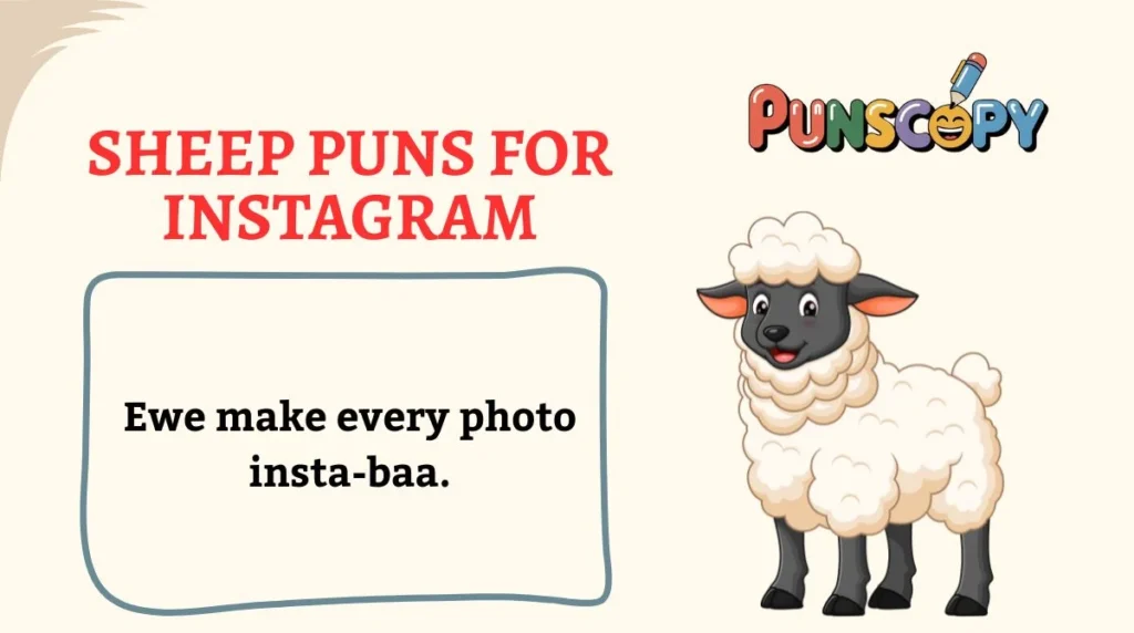 Sheep Puns for Instagram