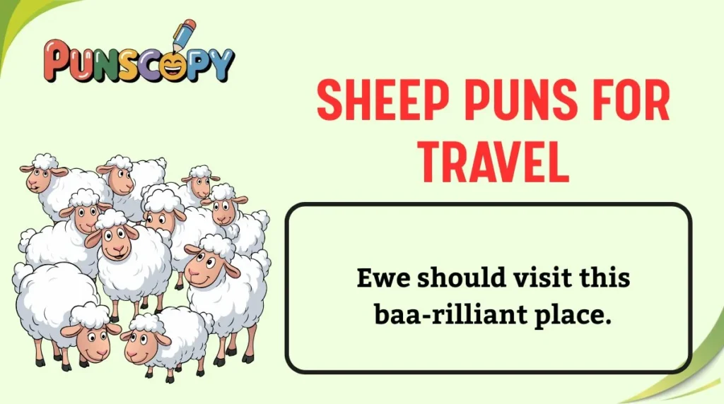 Sheep Puns for Travel