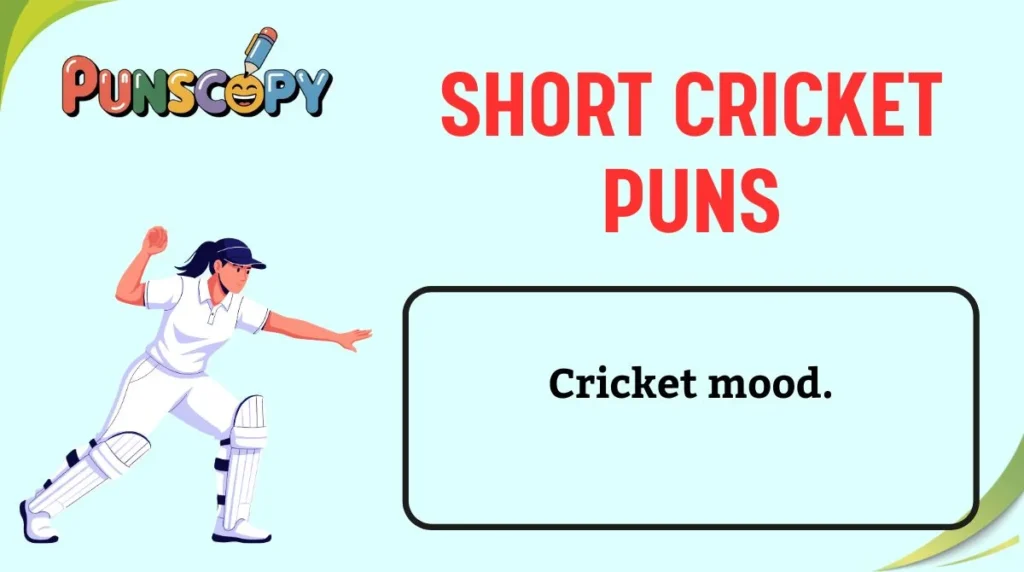 Short Cricket Puns