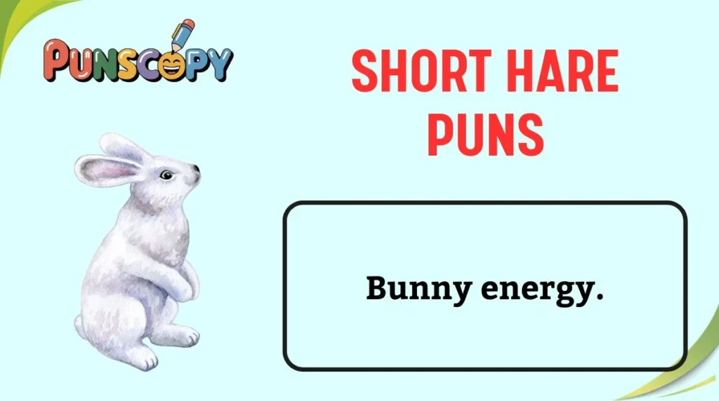 Short Hare Puns